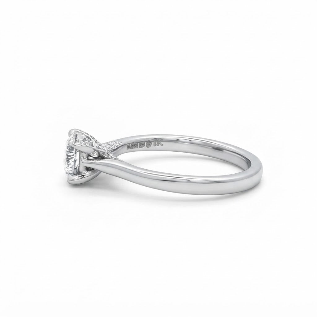 Platinum and diamond Constellation - Cygnus 0.70 E Si1