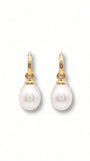 9 Carat Yellow Gold and Fresh Water Pearl Drops